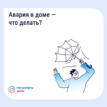 Фотодокумент 12