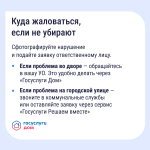 Фотодокумент 24